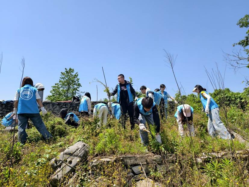 taptap点点员工在石漠化严重的撂荒地开展劳动2